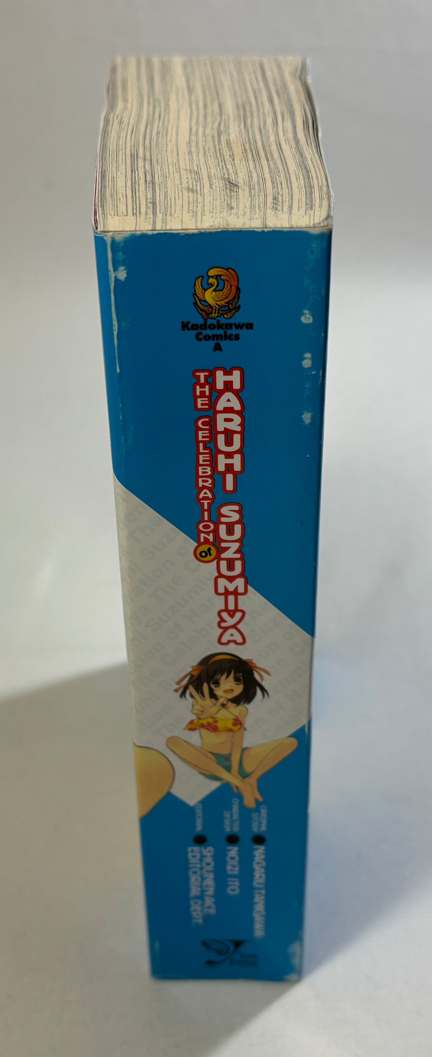 The Celebration of Haruhi Suzumiya