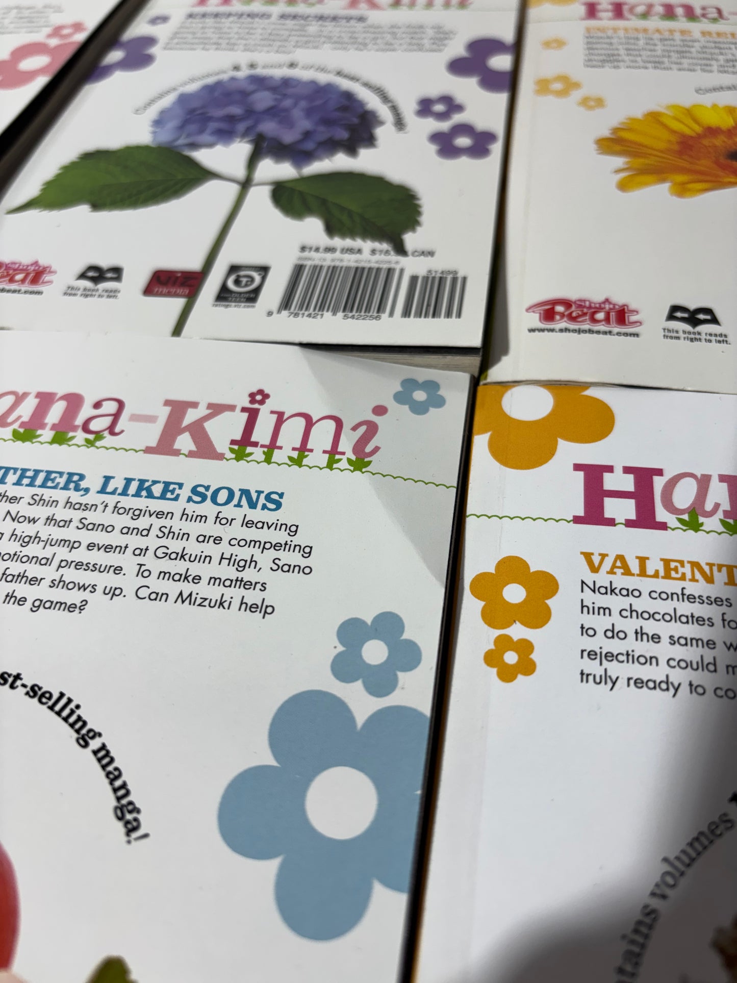 Hana Kimi Omnibus 1-23